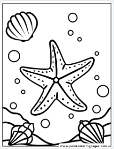 Starfish on the Ocean Floor