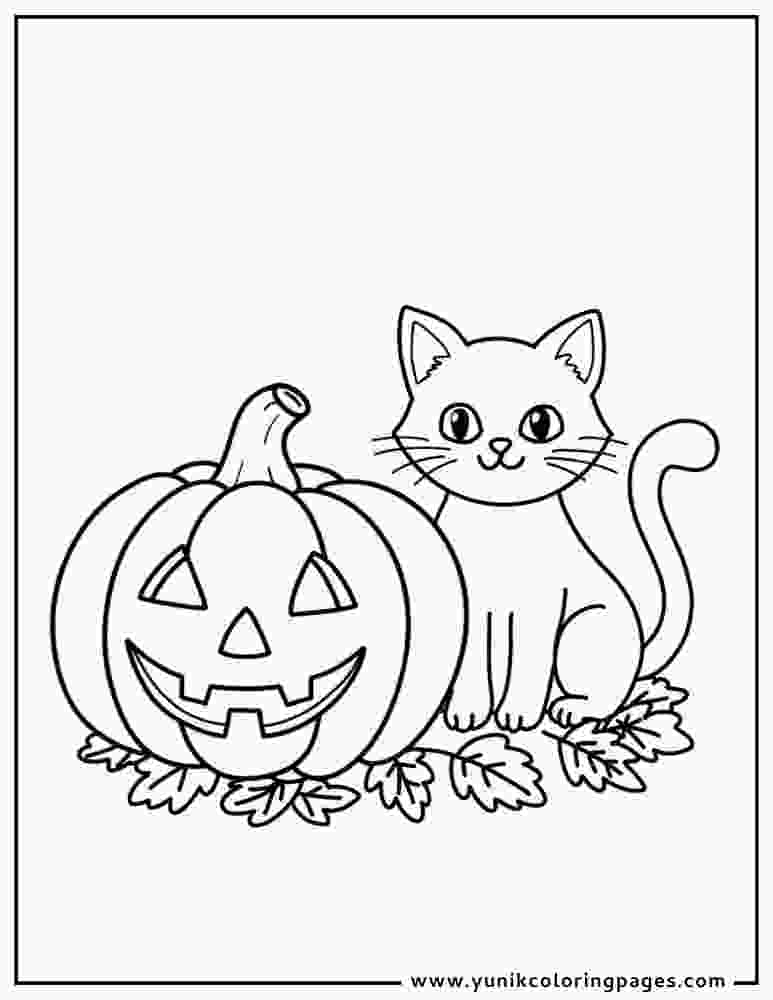 black and jack o lantern