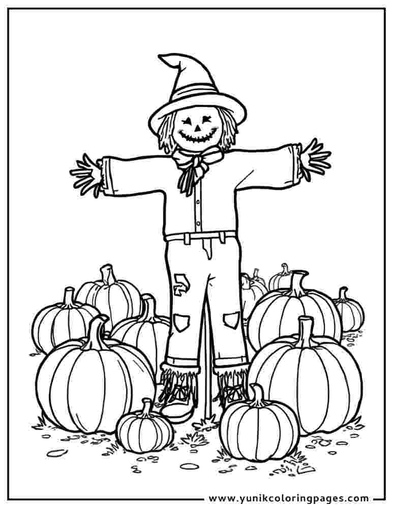 pumpkin patch for kids