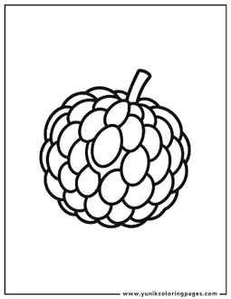 Custard Apple coloring page